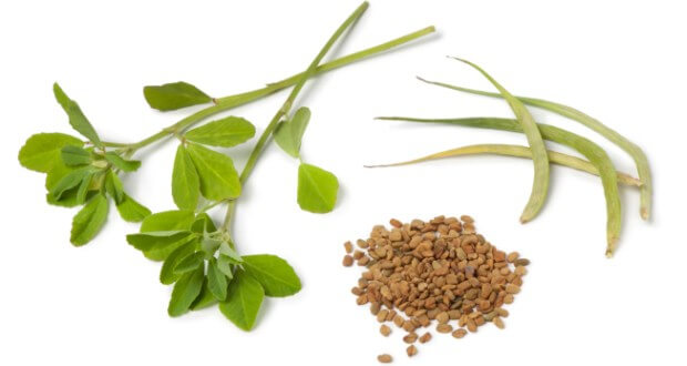 Fenugreek leaves,pods and seeds